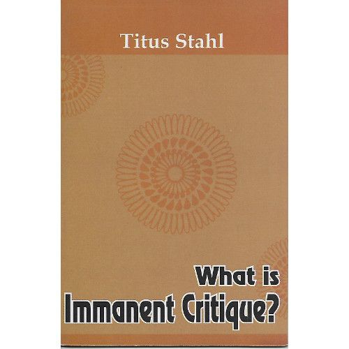 What is Immanent Critique?
